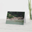 Recherche de canards photographie Paysage