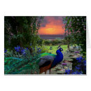 Recherche de paysage avec des paons cartes postales Oiseau