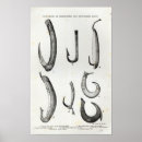 Recherche de hameçons posters Bronze
