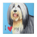 Recherche de barbu carreaux Chien