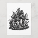 Recherche de botanique vintage cartes postales Cottagecore