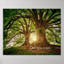 Recherche de enchanted forest posters Nature