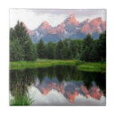 Recherche de teton grand carreaux Nature