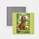Recherche de trèfle irlandais magnets Lutin