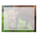 Recherche de vache blocsnotes Bétail