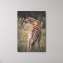Recherche de girafe art Vertical