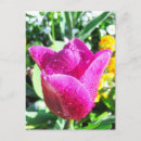Recherche de frais cartes postales Fleurs