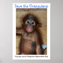 Recherche de orangutan posters Animal
