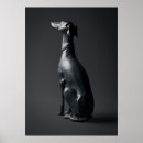 Recherche de whippet art Iggy