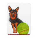 Recherche de balle de tennis magnets Chien