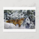 Recherche de de renard cartes postales Nature