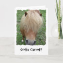 Recherche de cheval humoristique vœux cartes poney