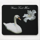 Recherche de joli oiseau tapis souris Faune