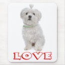 Recherche de cannine tapis souris Chien