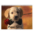 Recherche de pei shar bureau fournitures Chiens