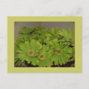 Recherche de flower power cartes postales Floral