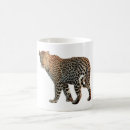 Recherche de zoologie tasses Faune