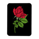 Recherche de réaliste magnets Peinture