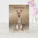 Recherche de serval cartes postales Gros chats