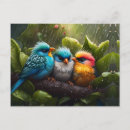Recherche de sous la pluie cartes postales Arbre