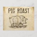 Recherche de porc mignon cartes postales Cochons