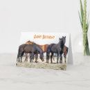 Recherche de équidés vœux cartes Cheval