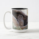 Recherche de hibou tasses Nature