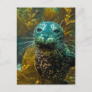 Recherche de phoques cartes postales Californie