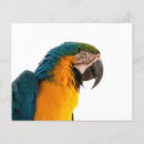 Recherche de note prospectus Amusant