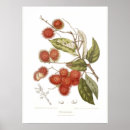 Recherche de peinture tropicale posters Illustration