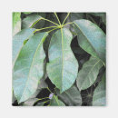 Recherche de parapluie magnets Feuille