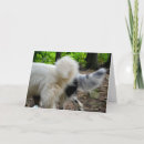 Recherche de terre neuve vœux cartes Amour