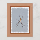 Recherche de tisserands cartes postales Soie