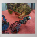 Recherche de anguilles posters Aquarium