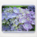 Recherche de hortensia tapis souris Flore
