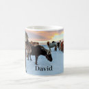 Recherche de chevaux classiques tasses Neige