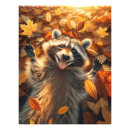 Recherche de de raton laveur posters Amusant