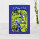 Recherche de bluebonnets vœux cartes Le texas