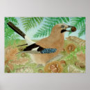 Recherche de geai posters Peinture