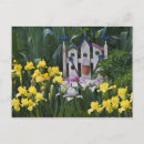 Recherche de iris jaune cartes postales Jardin