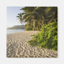 Recherche de mahe magnets Palmier