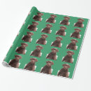 Recherche de chocolat labrador papier cadeau Labo