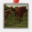 Recherche de vache ornements Bétail