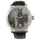 Recherche de ours brun montres Faune