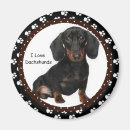 Recherche de wein magnete Animaux familiers