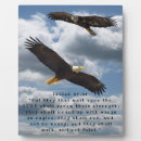 Recherche de chauve plaques Oiseau