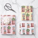 Recherche de succulents papier cadeau Plantes
