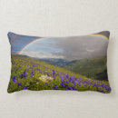 Recherche de jacinthes maison deco Paysage