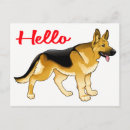 Recherche de chiot berger allemand cartes postales Dog