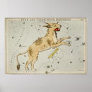 Recherche de canis posters Constellation